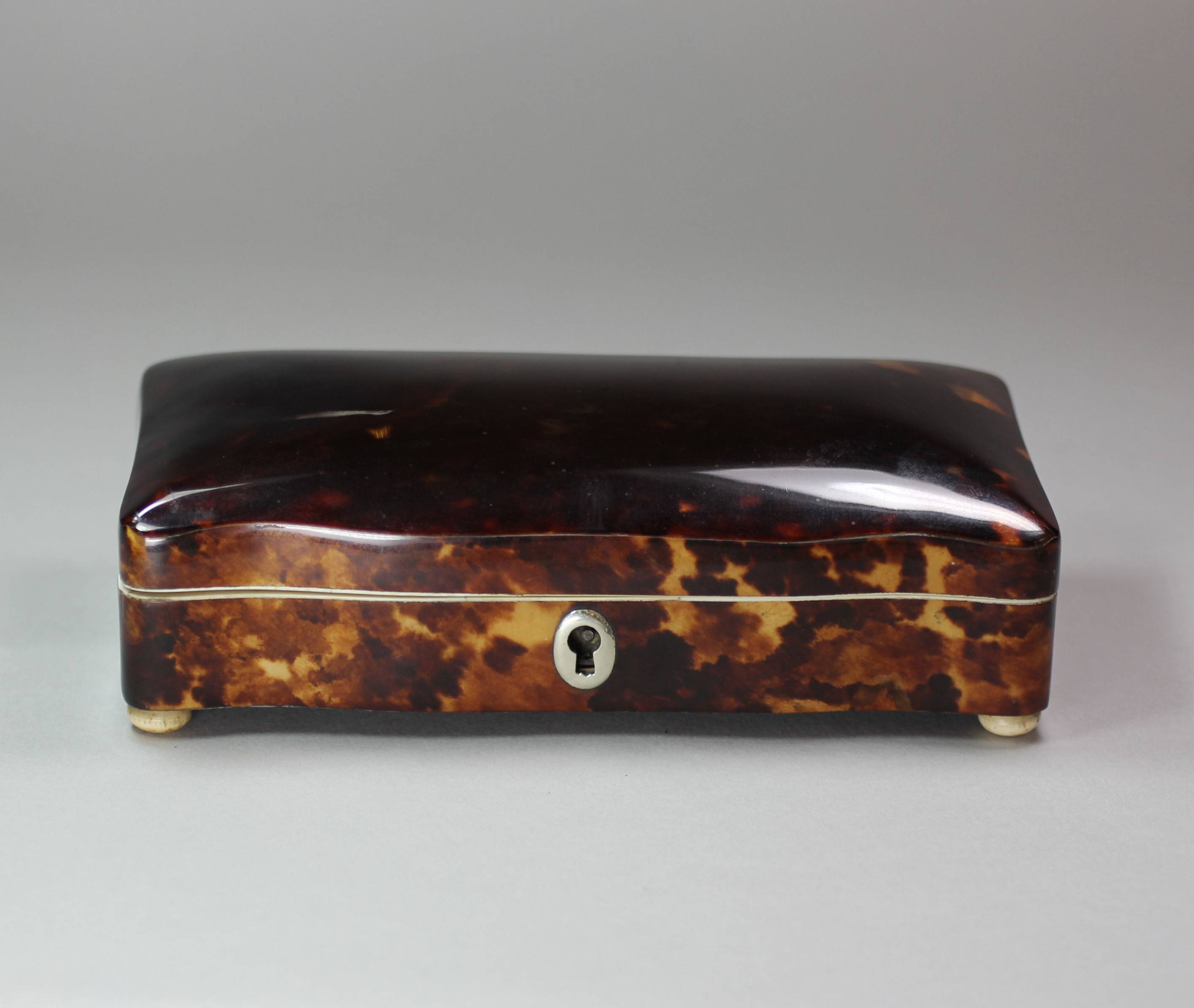 Tortis Shell Box Kangxi