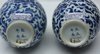 P304 Pair of extremely rare Chinese blue and white vases