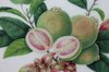 Q585 Pith paper painting, early 19th century