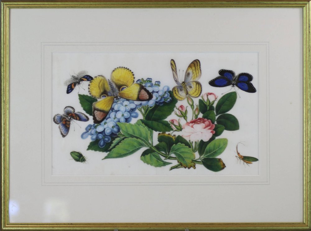 U460B Pith painting, 19th century, of butterflies