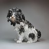 U82 German Meissen model of a Bolognese hound (Bologner Hund)