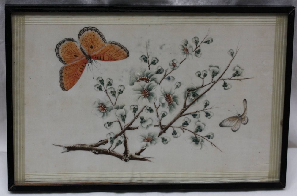 V12 Pith paper painting, 19th century