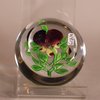W819 Baccarat pansy paperweight, 19th century