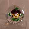W821 Baccarat pansy paperweight, 19th century