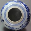 Y326 Blue and white ginger jar, Kangxi (1662-1725)