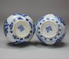 Y363 Pair of Chinese blue and white rosewater sprinkler vases