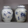 Y829 Matched pair of Chinese 'Hatcher Cargo' blue and white ovoid